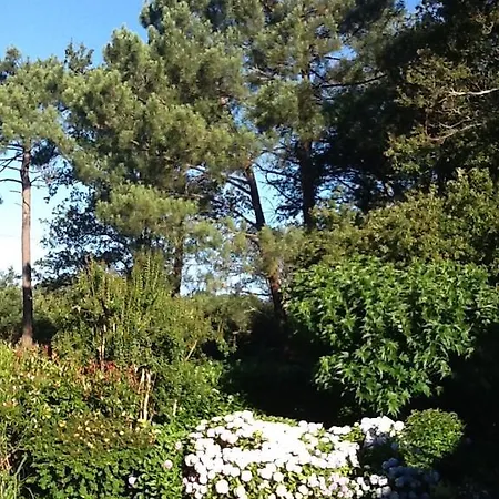 Golfetmer Studio Saint-Jean-de-Luz